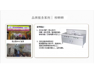 双头多用炉